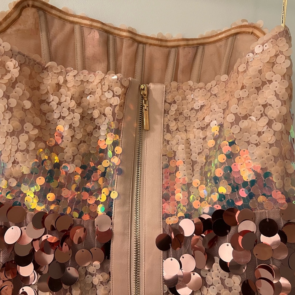 NWOT Bronx and Banco Farah Strapless Blush Gown Prom - Picture 11 of 14